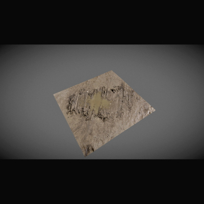 Mud Puddle - Scanned Surface