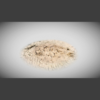 PBR Texture scan - SAND