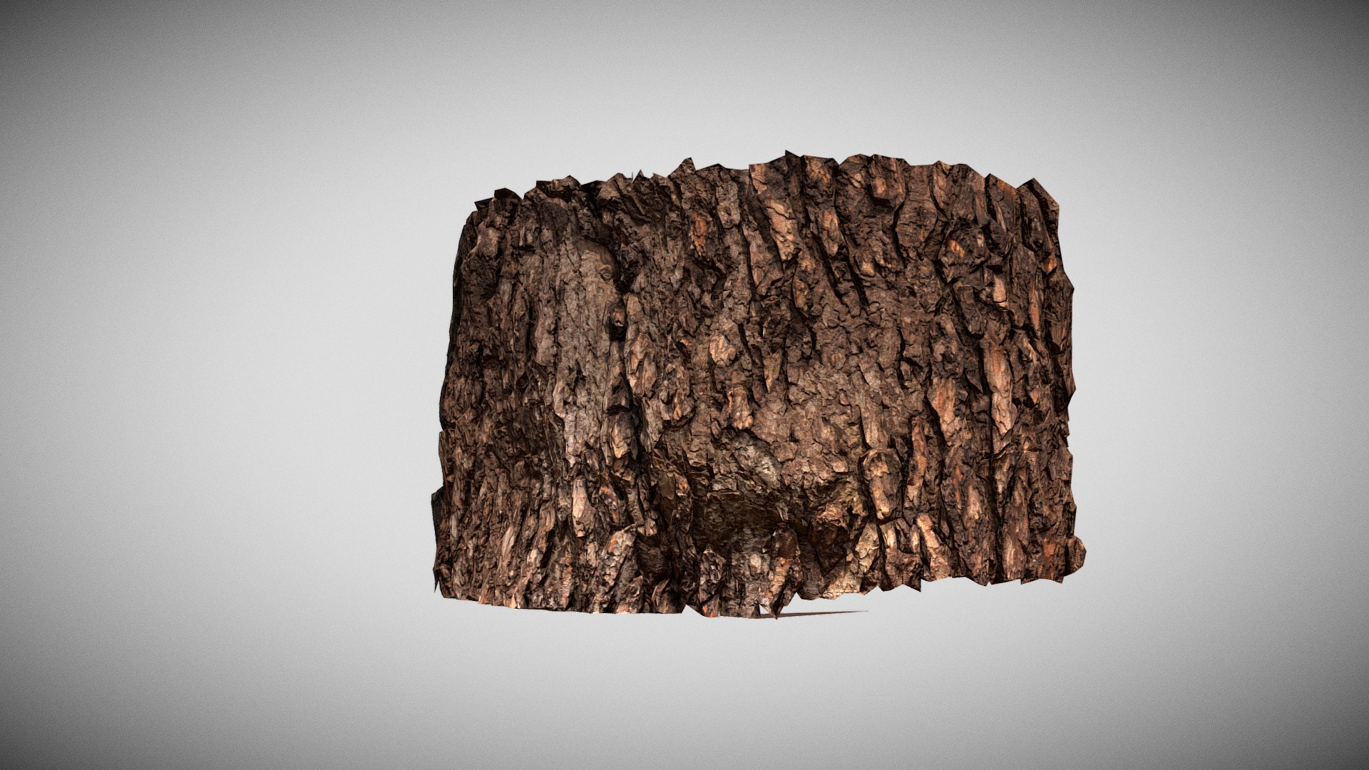 Pine Bark Macro Scan 3D Model