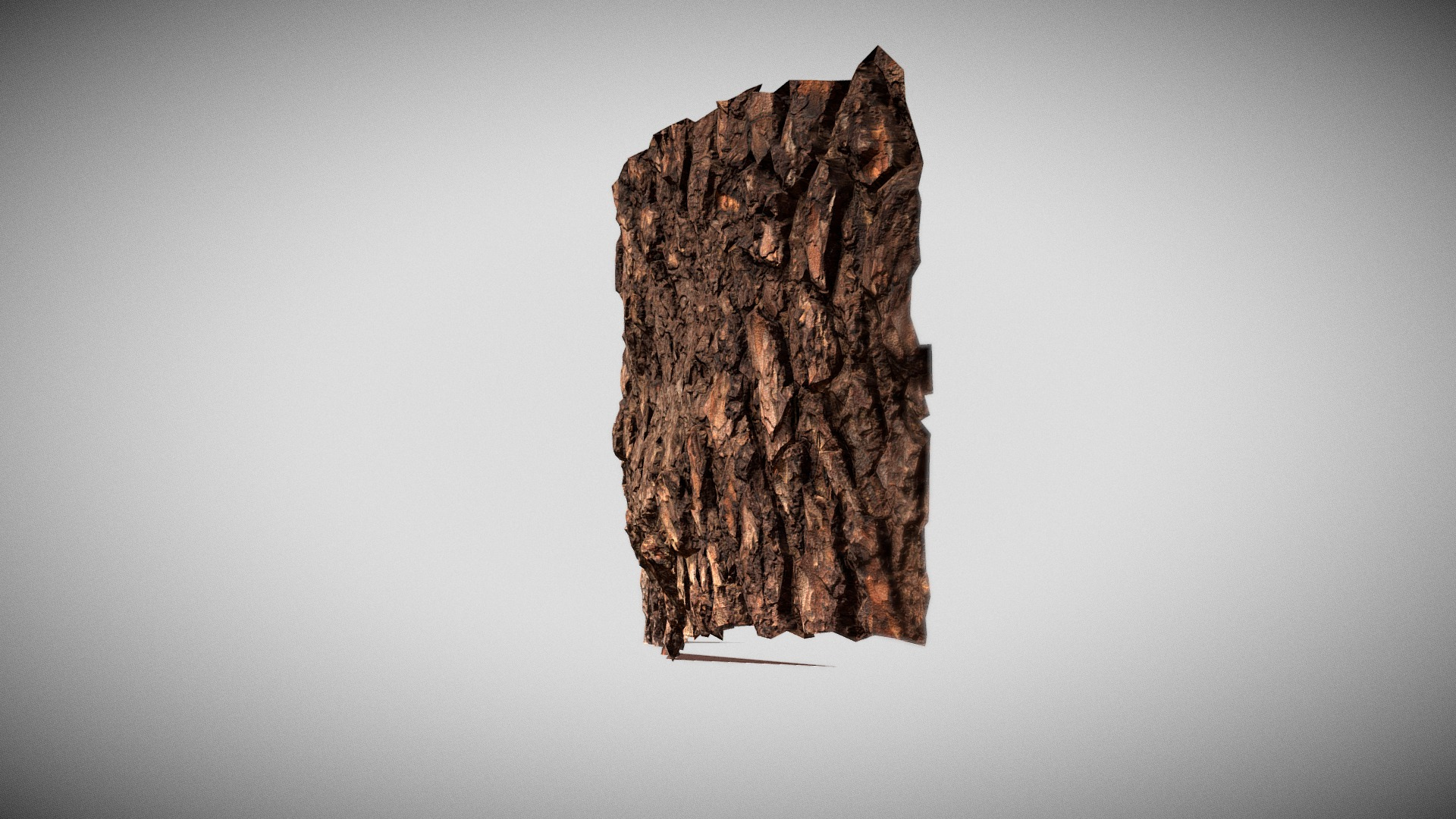 Pine Bark Macro Scan 3D Model