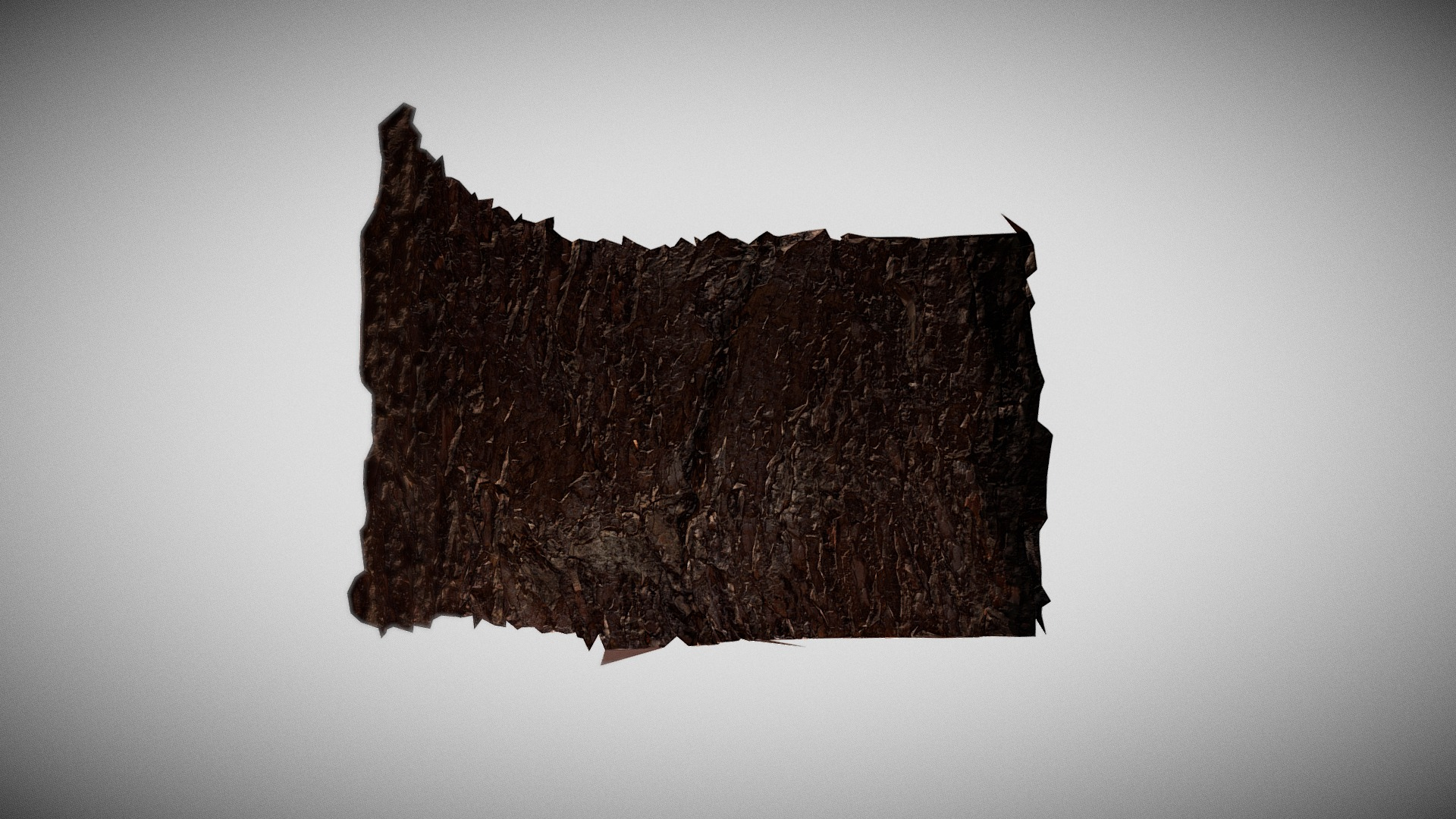 Pine Bark Macro Scan 3D Model