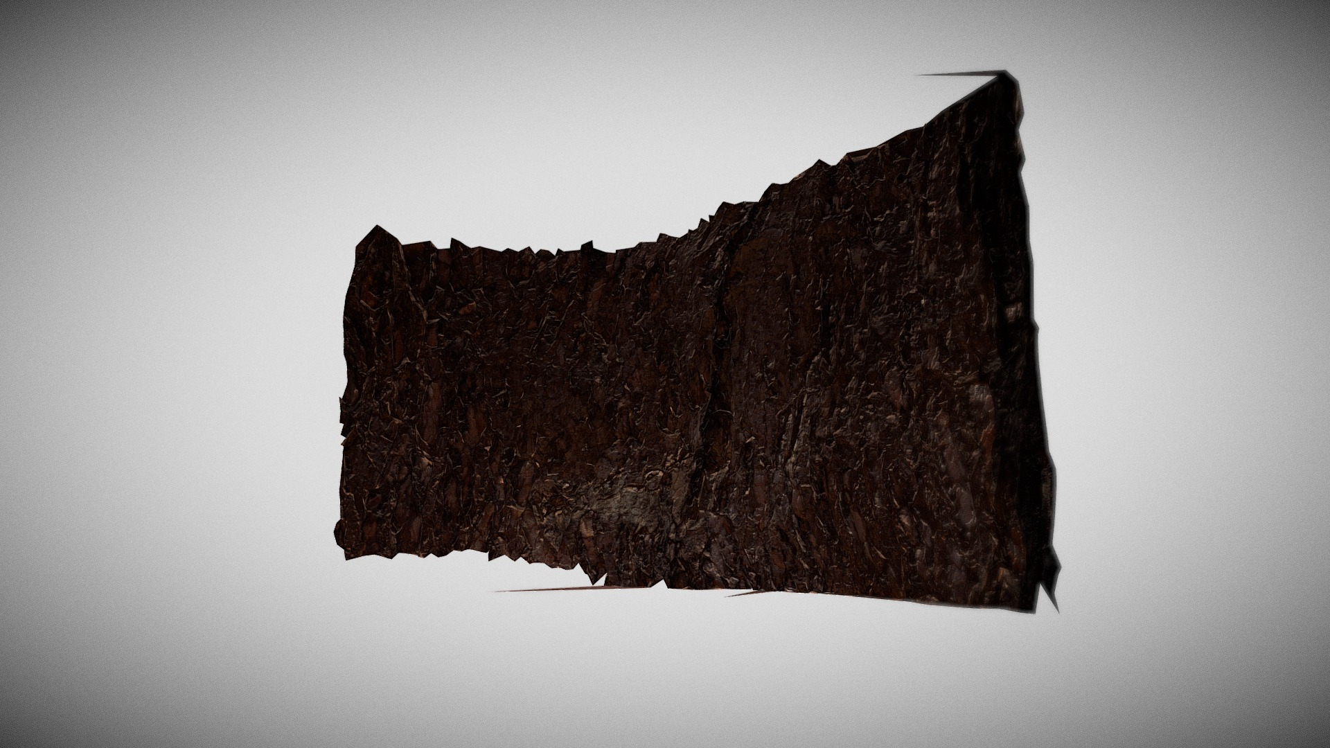 Pine Bark Macro Scan 3D Model