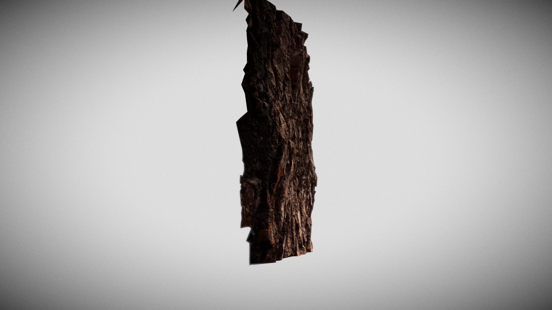 Pine Bark Macro Scan 3D Model