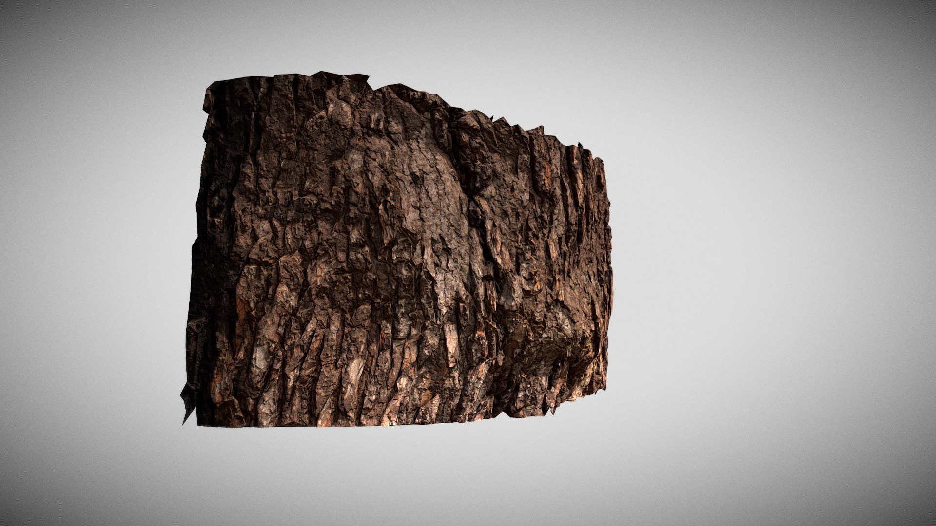Pine Bark Macro Scan 3D Model