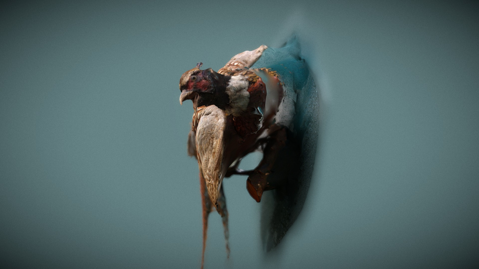 Stuffed Pheasant 3D Model
