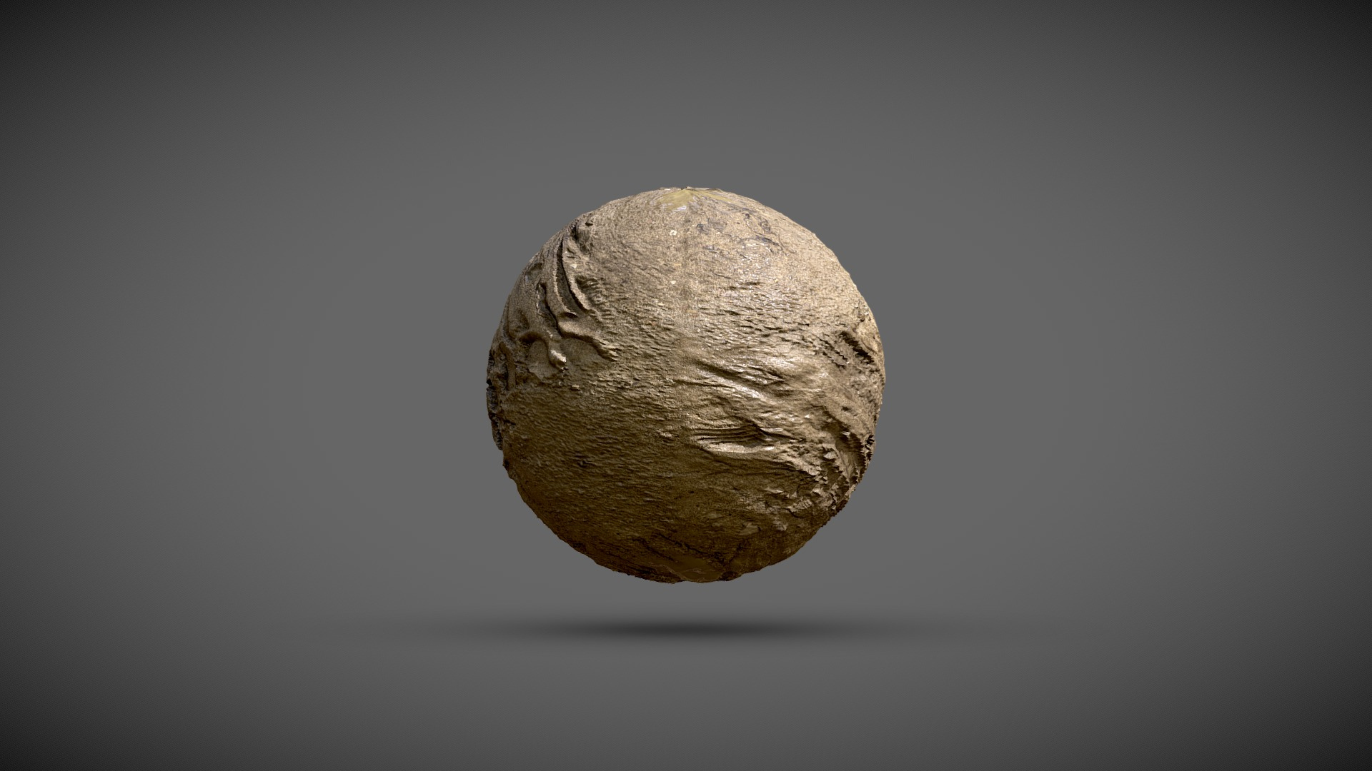 Tilable Mud puddle PBR shader 3D Model