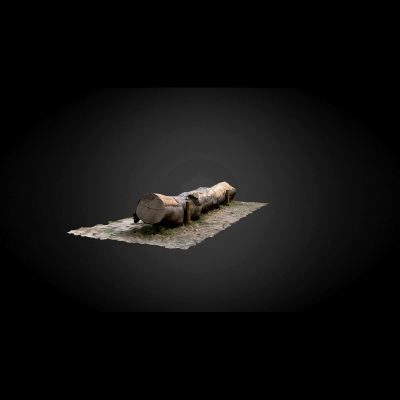 Tree trunk bench