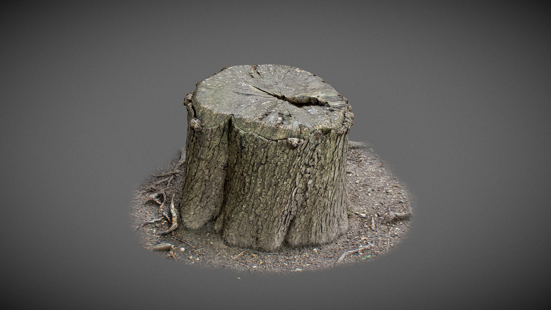 Trunk with water inside 3D Model