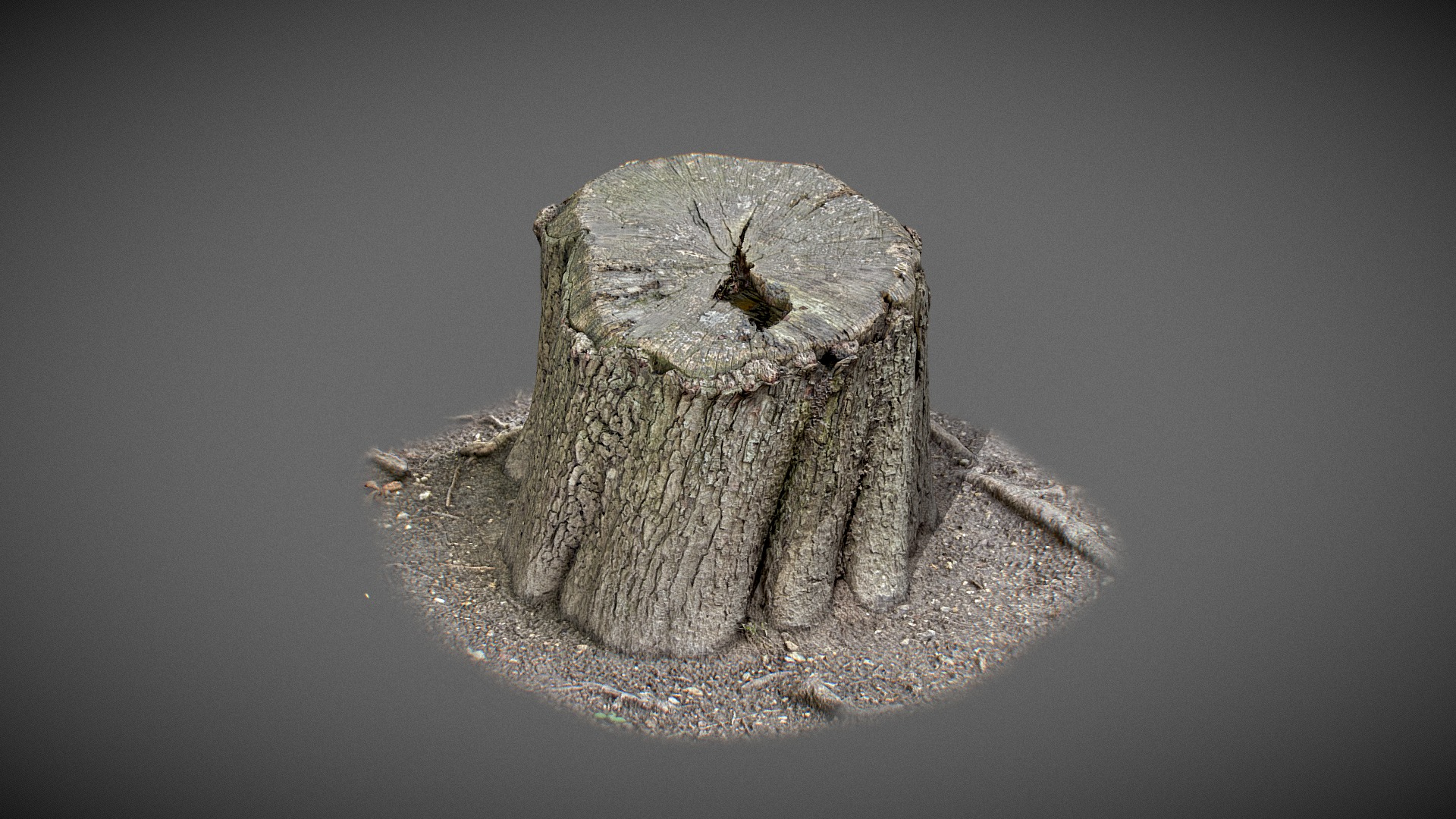 Trunk with water inside 3D Model