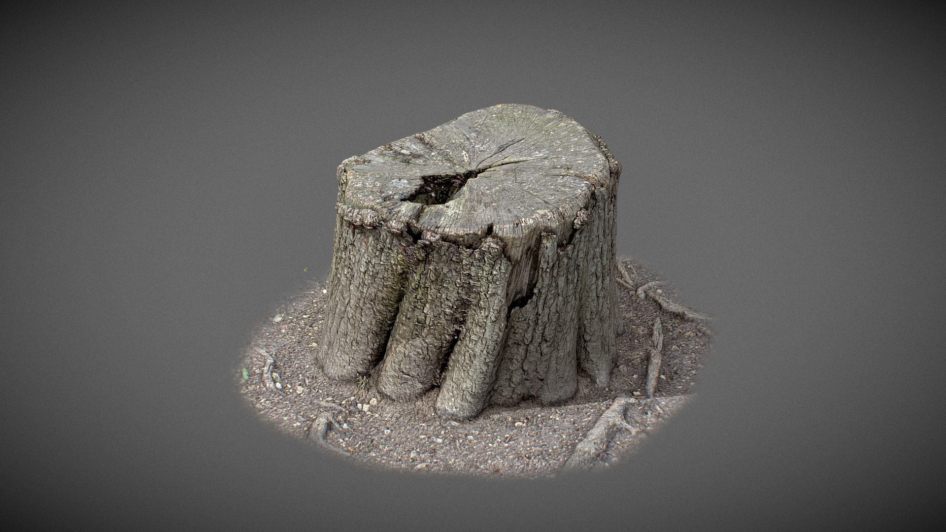 Trunk with water inside 3D Model