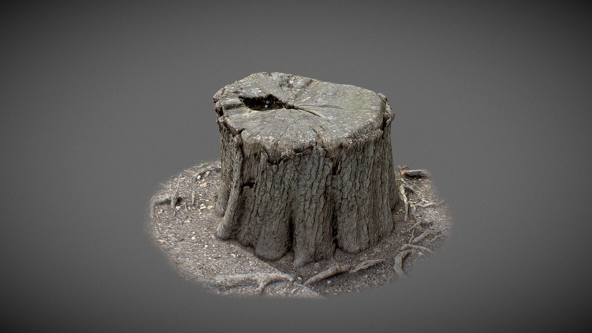 Trunk with water inside 3D Model