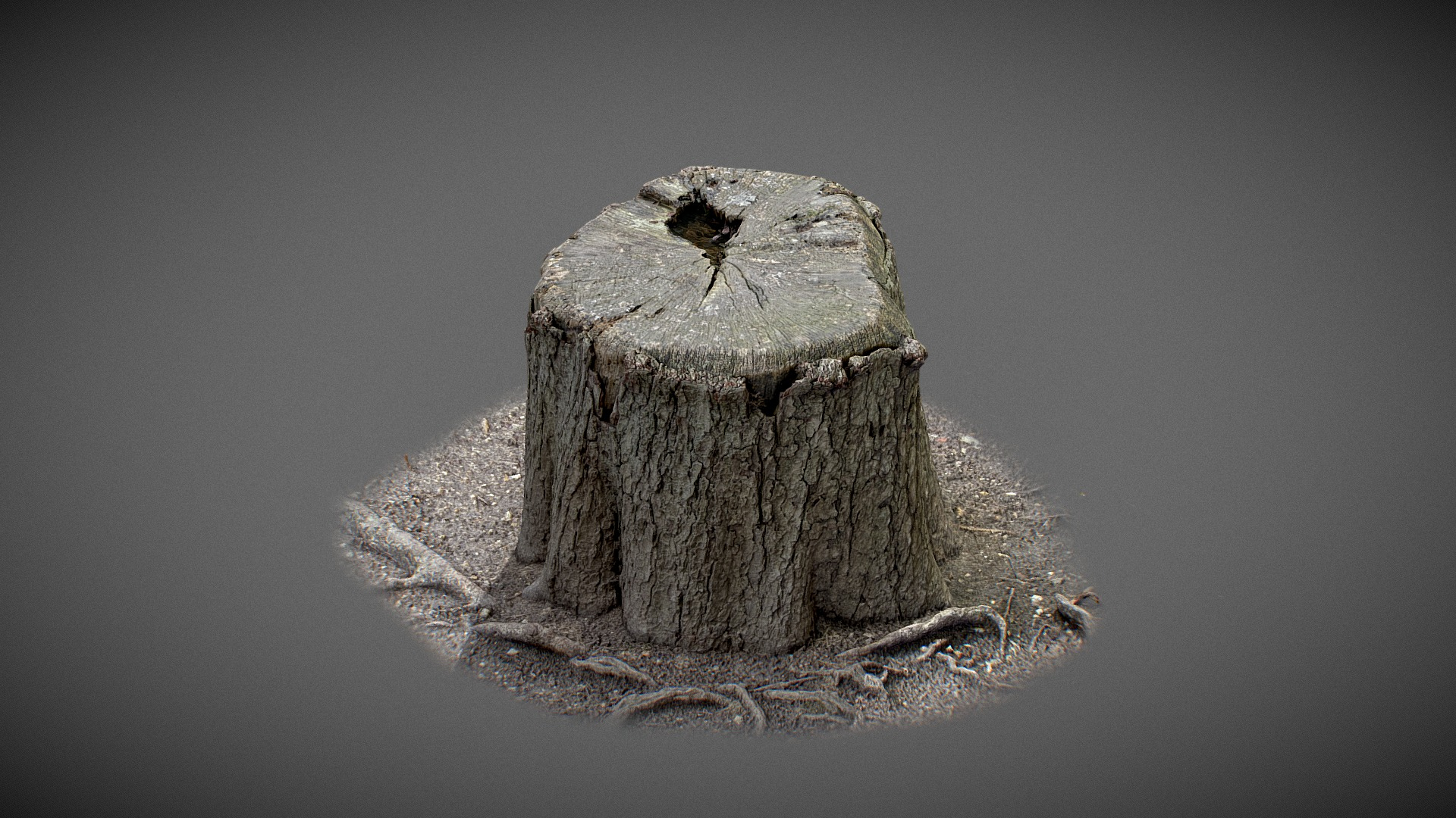 Trunk with water inside 3D Model