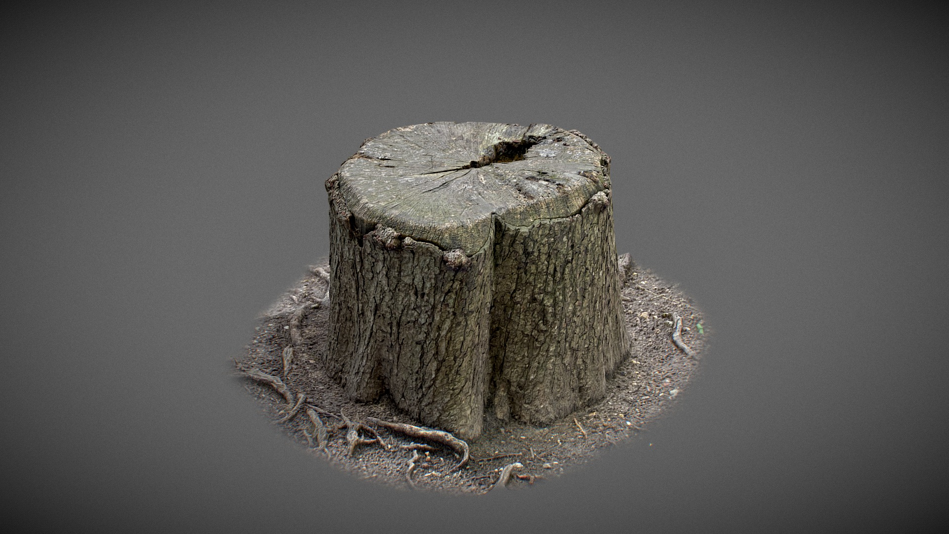 Trunk with water inside 3D Model