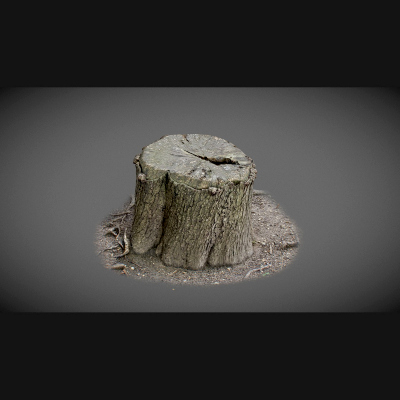 Trunk with water inside