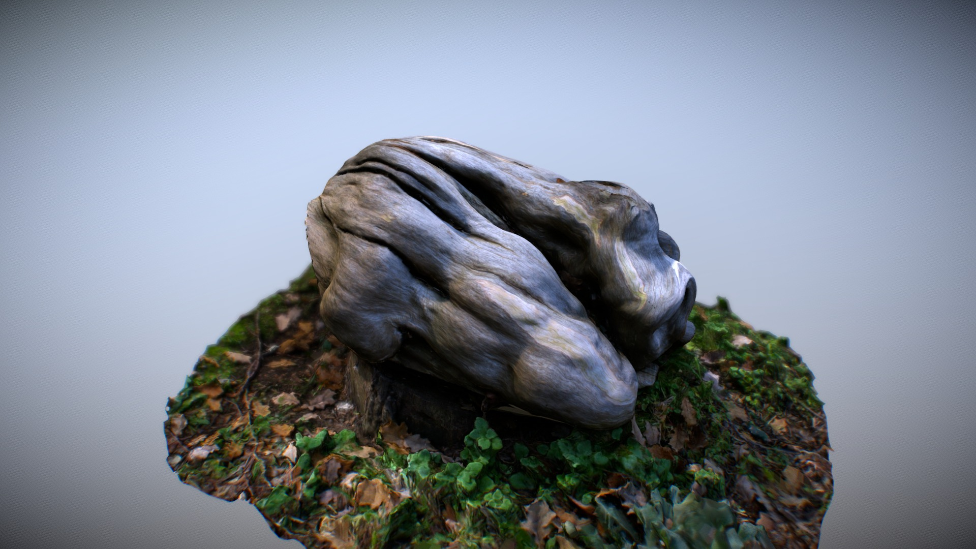 Wooden Knot - 3D Scan 3D Model