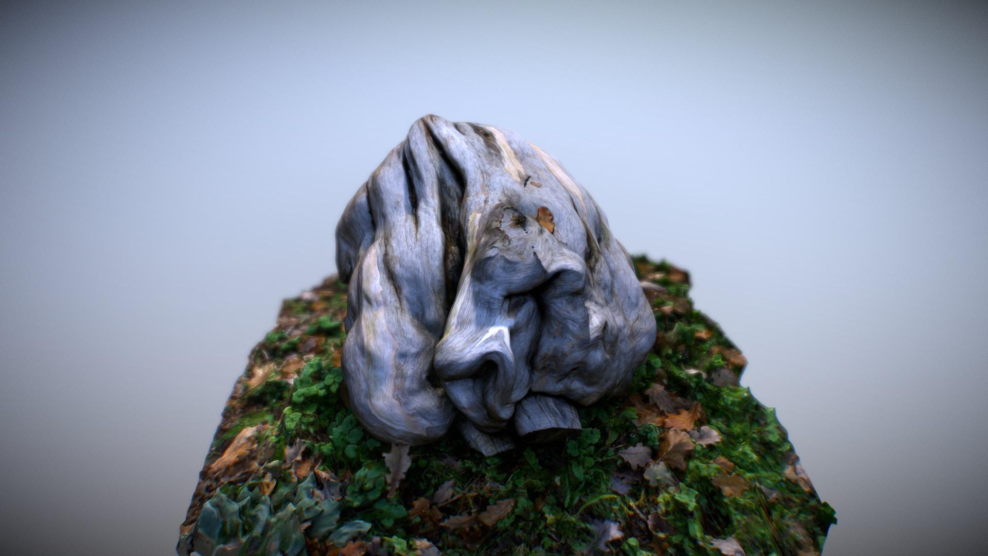 Wooden Knot - 3D Scan 3D Model