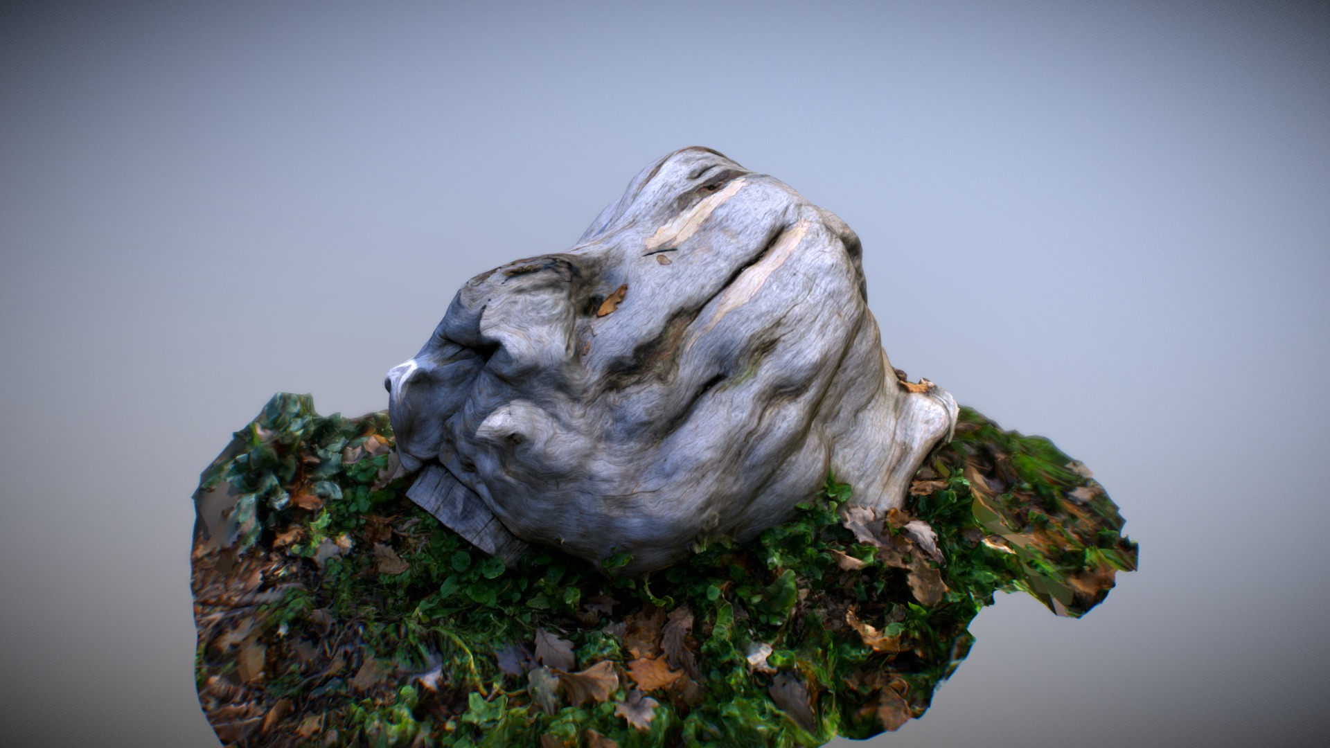 Wooden Knot - 3D Scan 3D Model
