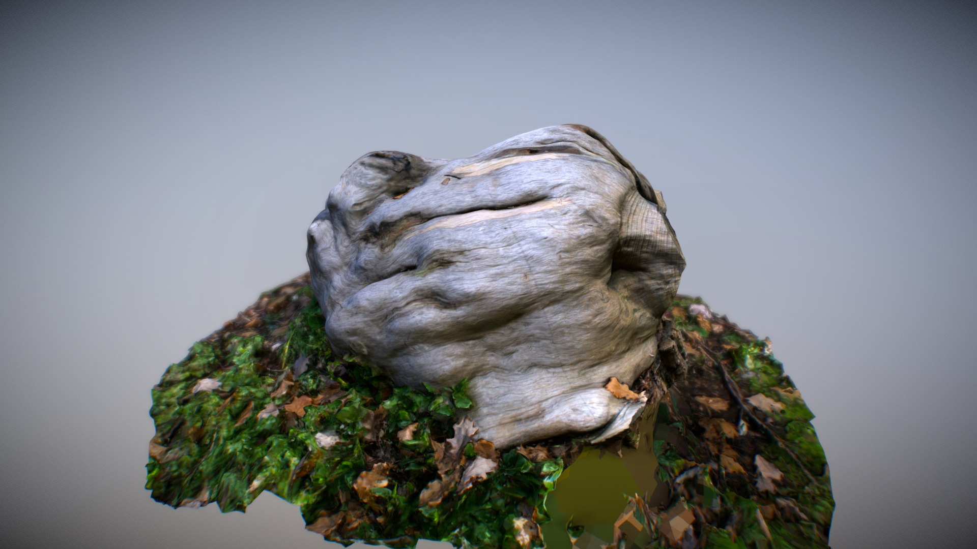 Wooden Knot - 3D Scan 3D Model