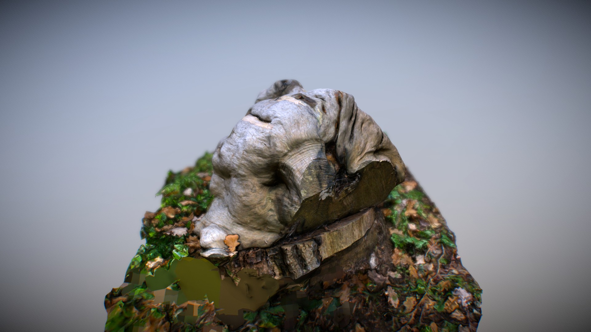 Wooden Knot - 3D Scan 3D Model