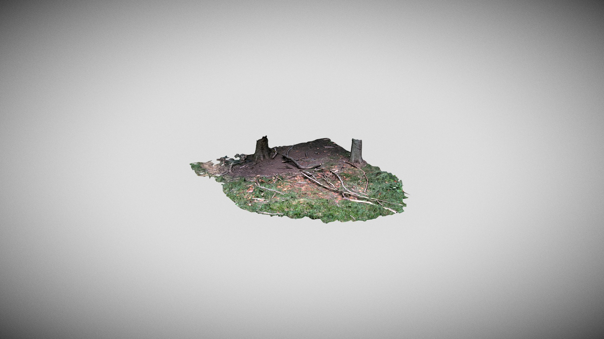 Woods Ground Patch scan 3D Model