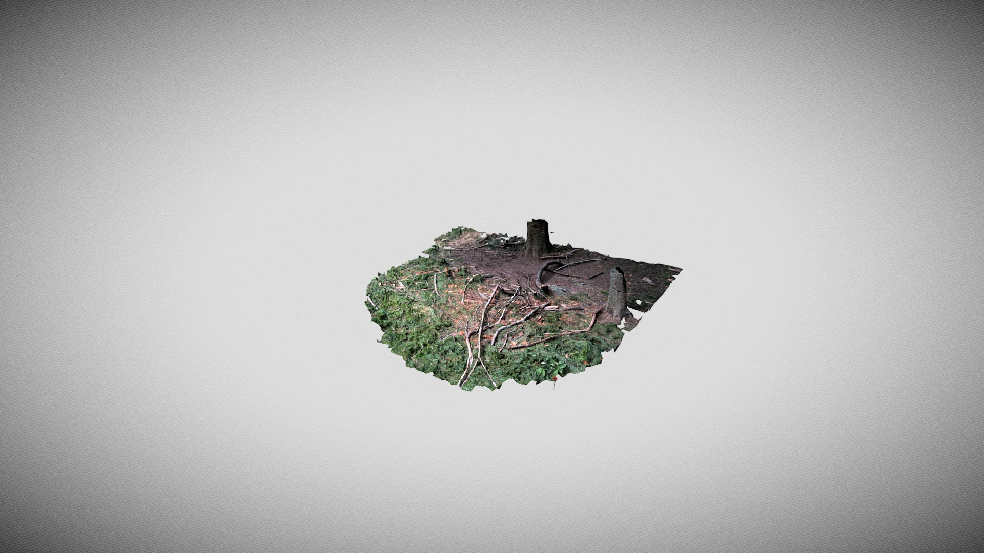 Woods Ground Patch scan 3D Model