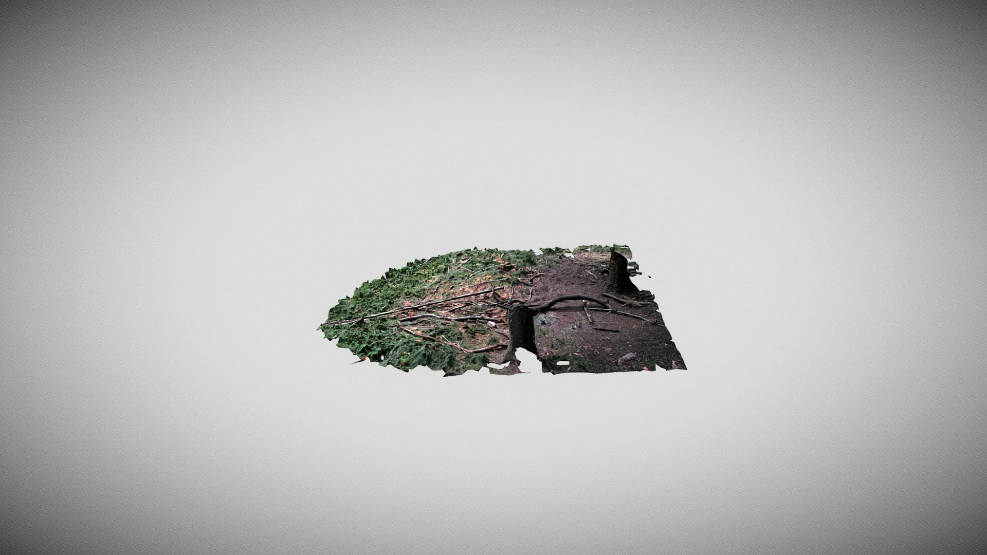 Woods Ground Patch scan 3D Model