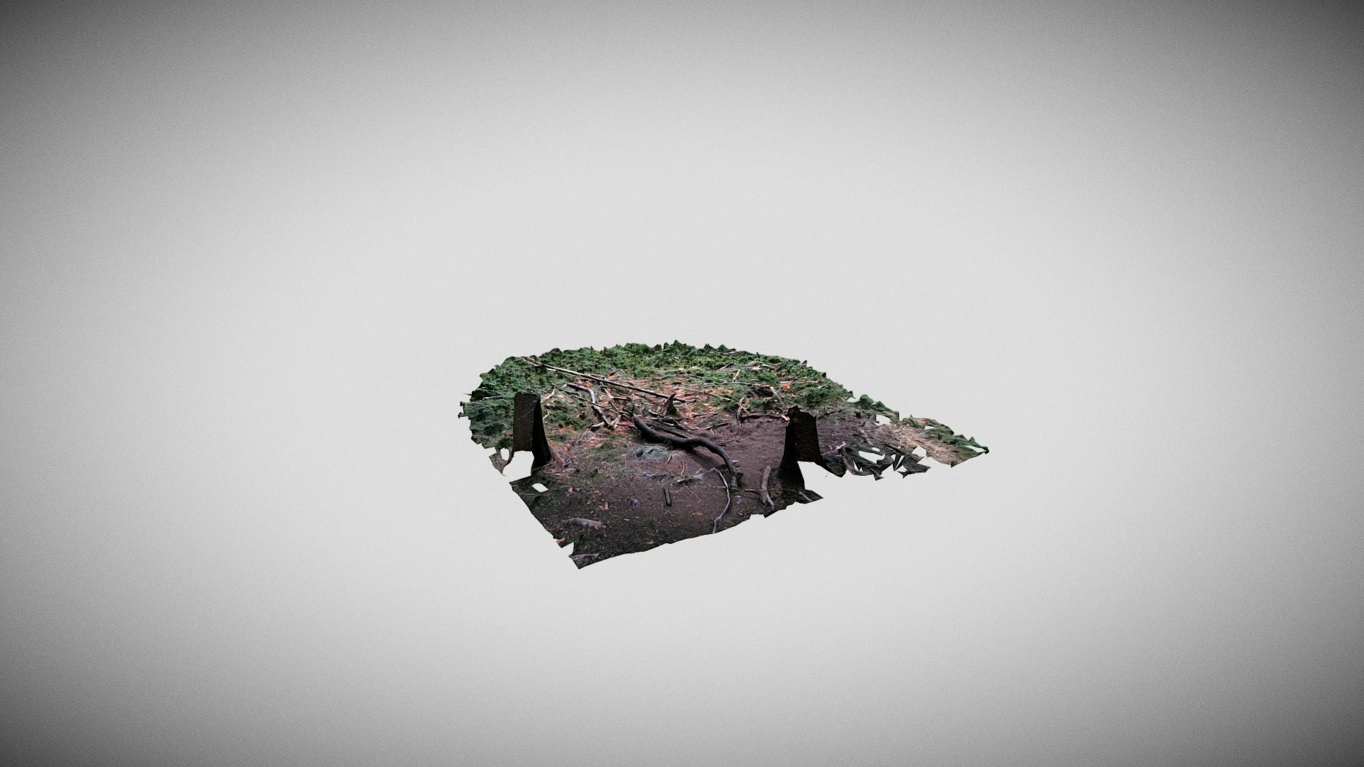 Woods Ground Patch scan 3D Model