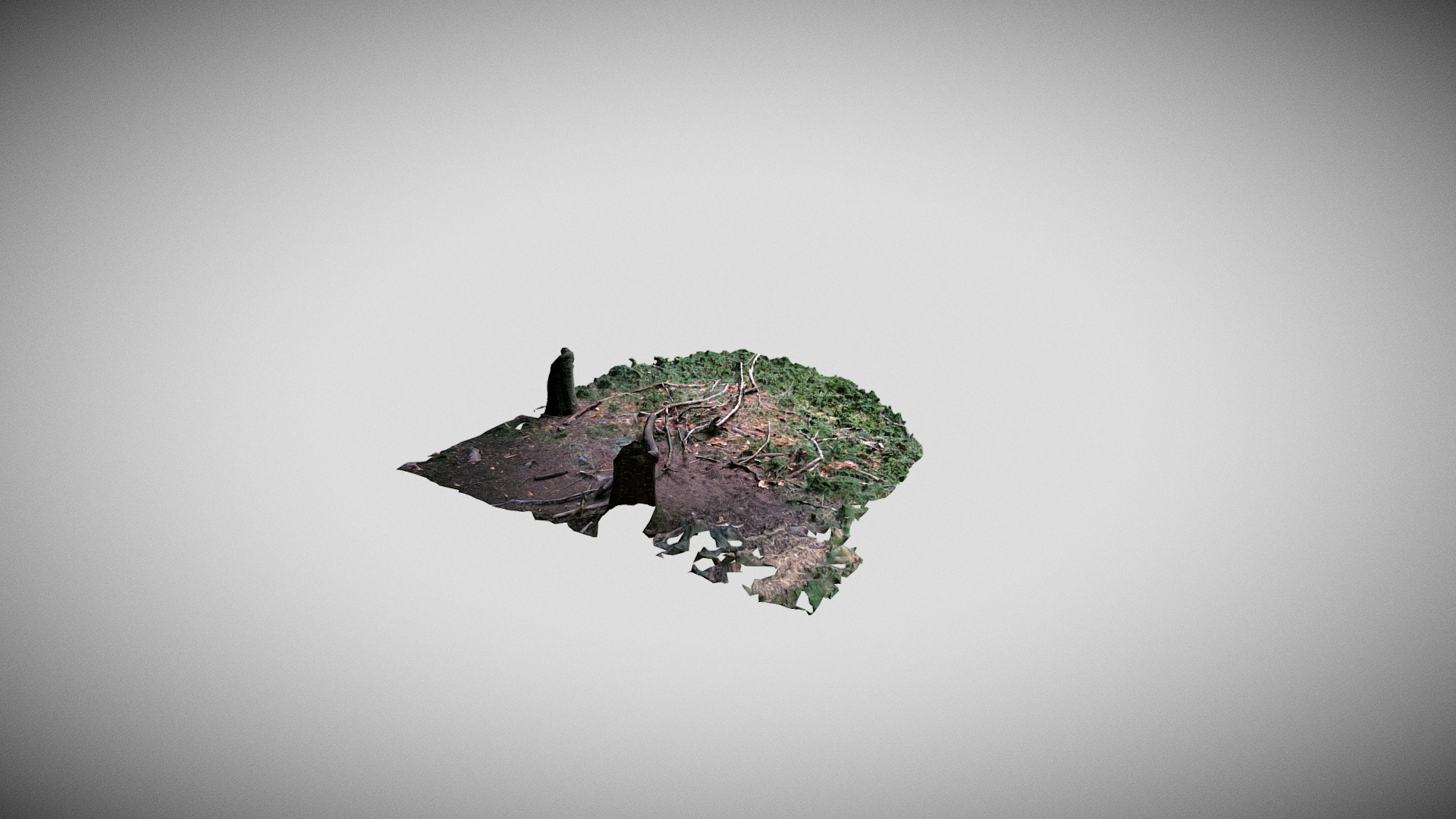 Woods Ground Patch scan 3D Model