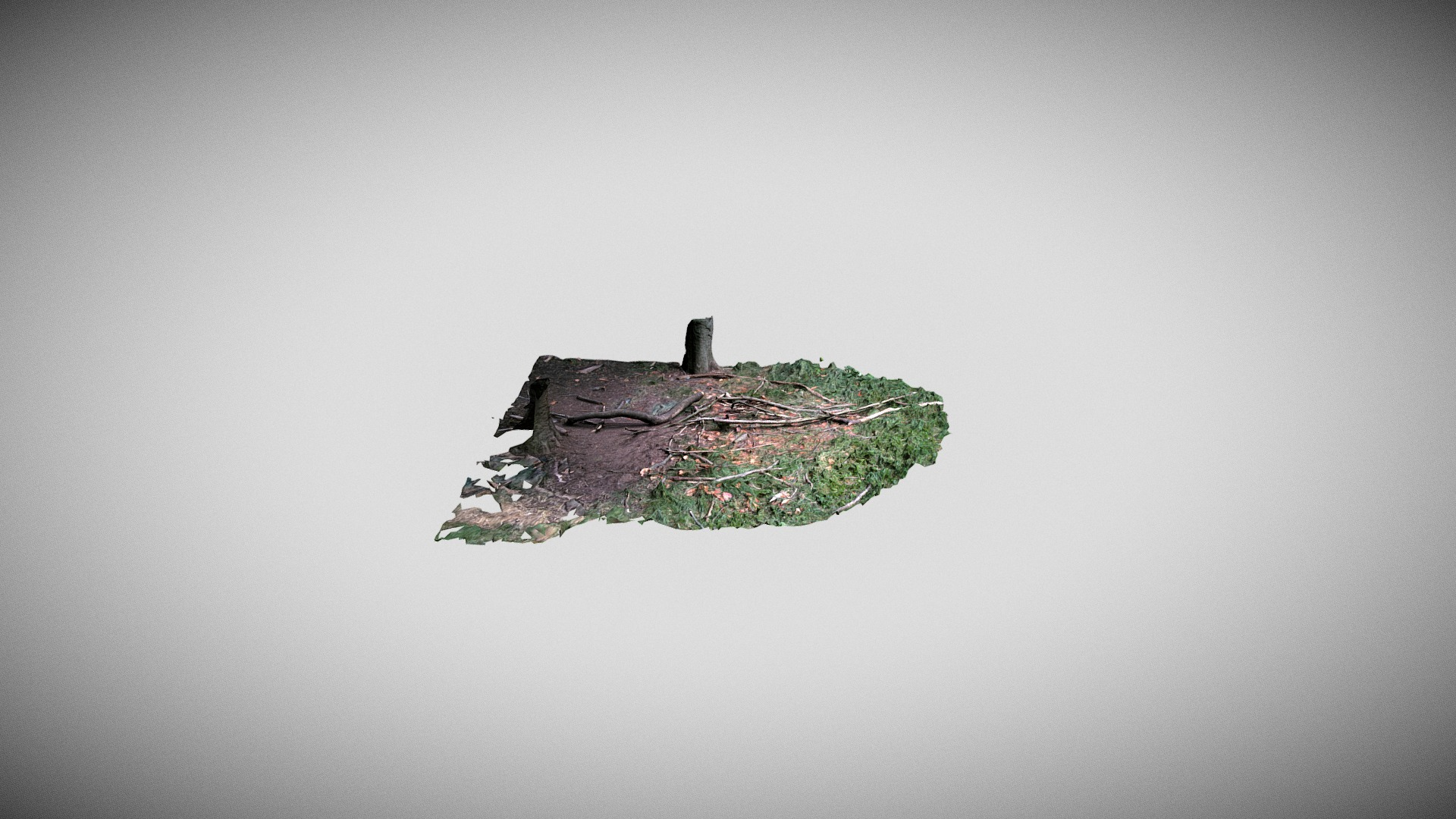 Woods Ground Patch scan 3D Model