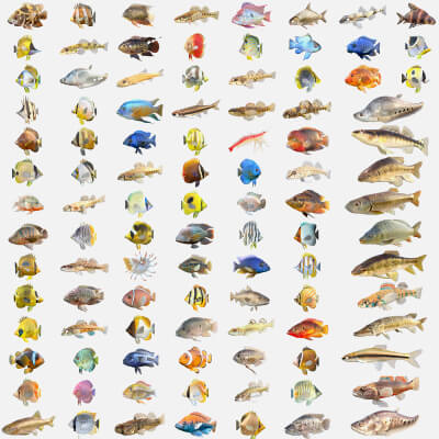 100 Fish Sea Creatures Collection V3
