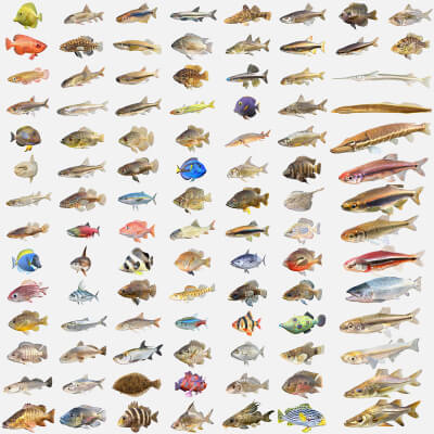 100 Fish Sea Creatures Collection V5