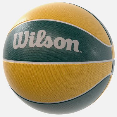 Basketball Wilson