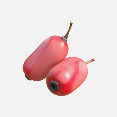 Berberis Fruit
