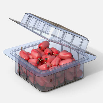 Berberis Fruit Box Plastic Transparent