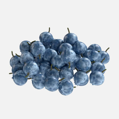 Bilberry Fruit