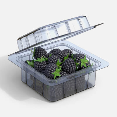 Blackberry Fruit Box Plastic Transparent