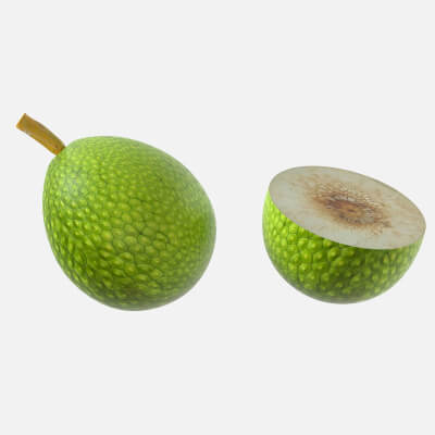Bread Fruit 3d model