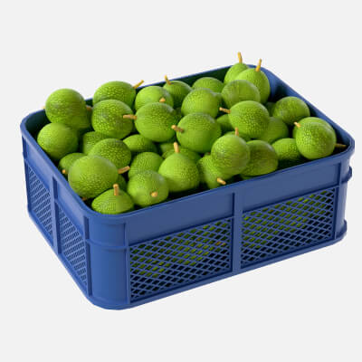 Breadfruit Plastic Crate