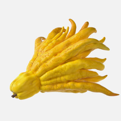 Buddha’s Hand Fruit