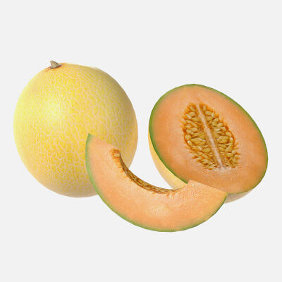 Cantaloupe Melon