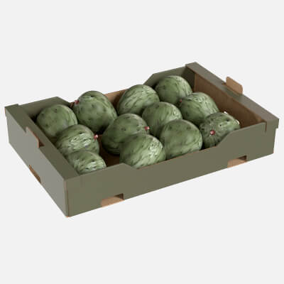 Cherimoya Cardboard Fruit Box