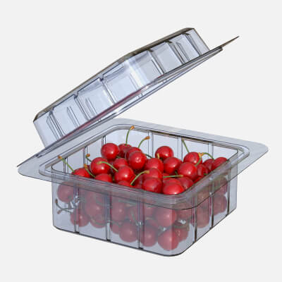 Cherry Fruit Box Plastic Transparent