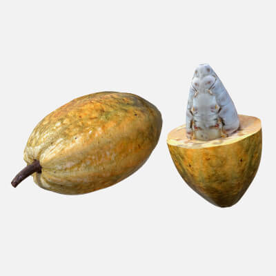 Cocoa Fruit 3d model