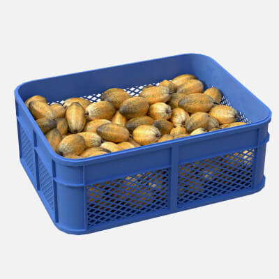 Cocoa Fruit Plastic Crate
