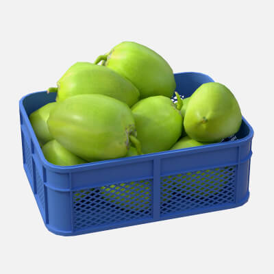 Coconut Green Plastic Crate