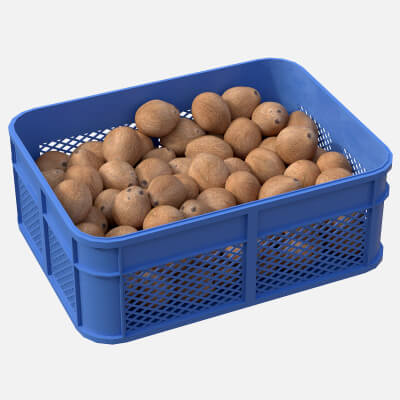 Coconut Inner Plastic Crate