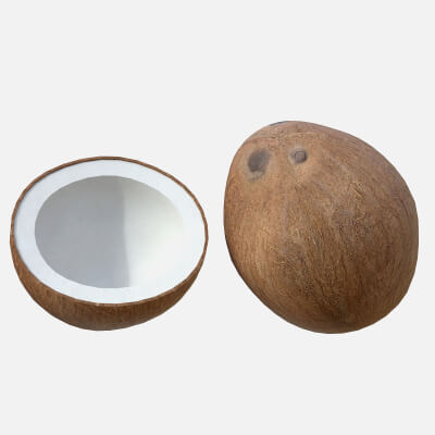 Coconut Inner