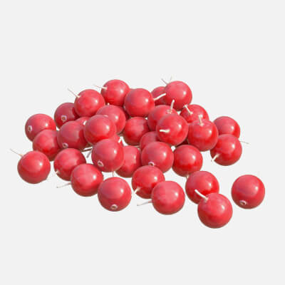 Cranberry Fruit