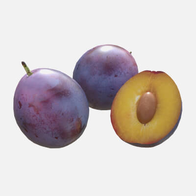 Damson Plum fruit