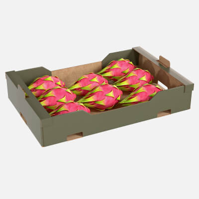 Dragon Fruit Cardboard Fruit Box